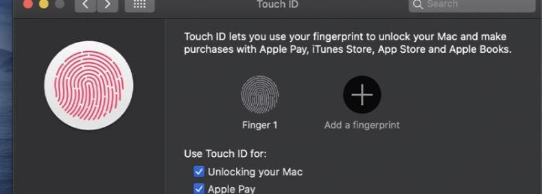 FaceID TouchID Micrsooft